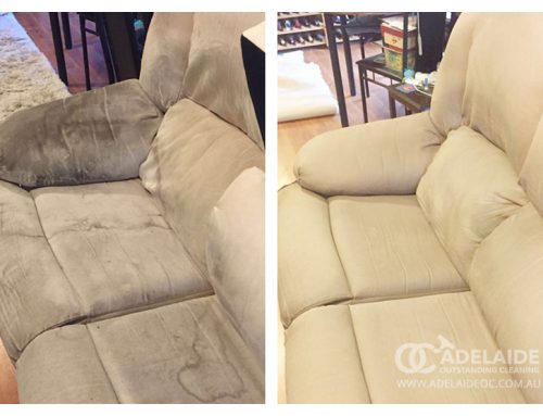 Leather Couch Cleaning vs Fabric Couch Cleaning