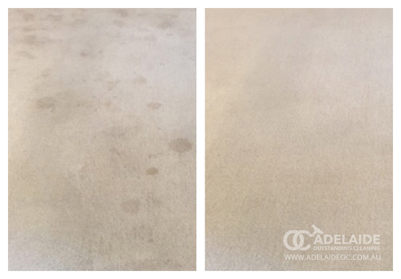 Carpet Cleaning in Adelaide