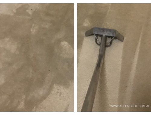 Benefits of Getting Your Carpets Cleaned?