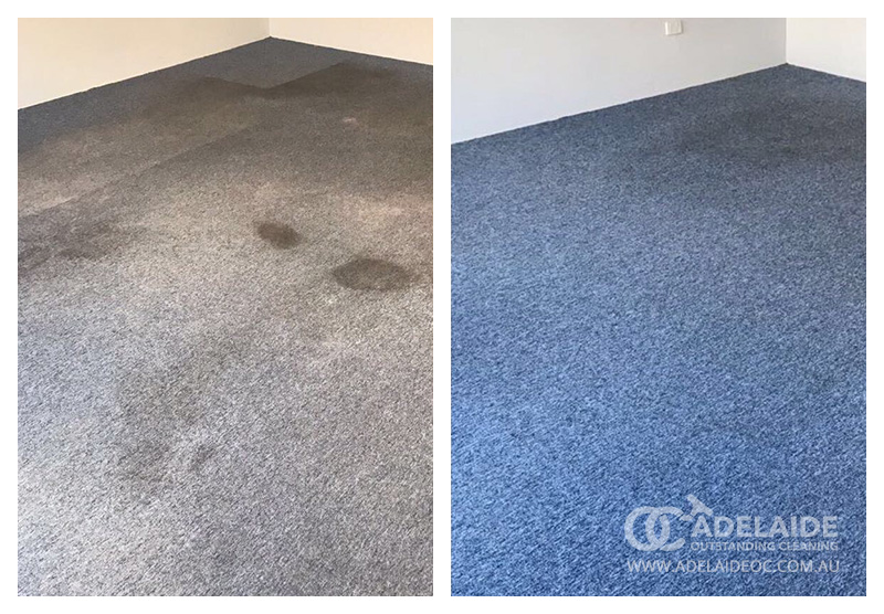 Affordable Carpet Cleaning Adelaide