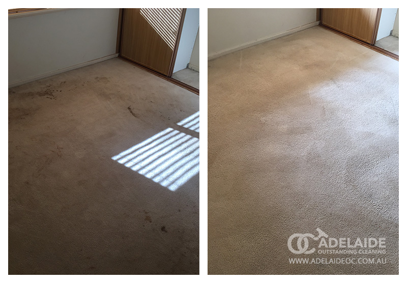 Professional carpet cleaners Adelaide
