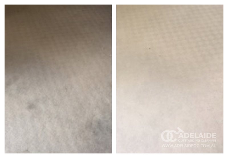 Reliable Carpet Cleaning Adelaide